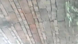 栅栏吃精