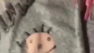 [第一视角]兽人女精灵亲自下手玩弄人类的肉体
