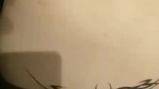女人高潮一级毛片久久网站短肉丝足交加口交